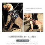 Dog Support Harness For Back & Front Legs