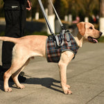 Dog Support Harness For Back & Front Legs