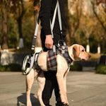 Dog Support Harness For Back & Front Legs