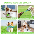 Durable Dog Toys for Large and Small Pets - 3 Piece Set