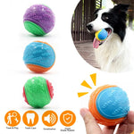 Durable Squeaky Dog Ball Toy for Interactive Play