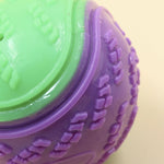 Durable Squeaky Dog Ball Toy for Interactive Play
