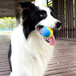 Durable Squeaky Dog Ball Toy for Interactive Play