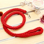 Durable Dog Leash for Walking: Strong Braid Nylon