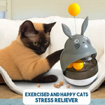 Treat Dispenser & Exercise Toys for Indoor Cats