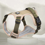 No Pull Walking Training Small Medium Large Big Dogs