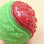 Durable Squeaky Dog Ball Toy for Interactive Play