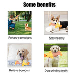 Chewy Plush Pals: Durable Plush Squeak Toys for Dogs