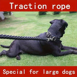 Durable Dog Leash for Walking: Strong Braid Nylon