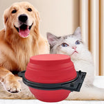 Foldable Dual Bowl for Dogs - 2-in-1 Travel Feeding Solution
