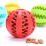 BiteSafe Chew Toy Treat Ball for Fun and Safe Chewing