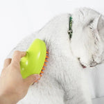 Pet Grooming Brush Electric Spray Water