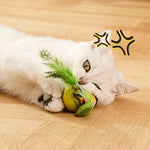 Interactive Cat Toy with Intelligent Sound Sensing