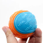 Durable Squeaky Dog Ball Toy for Interactive Play