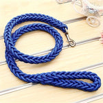 Durable Dog Leash for Walking: Strong Braid Nylon