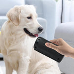 Shedding Rake Pet Hair Remover Brush
