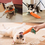 Dog Chew Toy Cotton Rope Carrot - Fun for Pets and Safe to