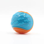 Durable Squeaky Dog Ball Toy for Interactive Play