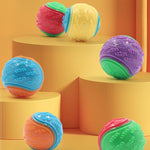 Durable Squeaky Dog Ball Toy for Interactive Play