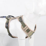 No Pull Walking Training Small Medium Large Big Dogs