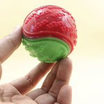 Durable Squeaky Dog Ball Toy for Interactive Play
