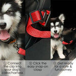 Pet dog Car Safety Buckle Safety Belt